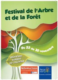 Festival de l'Arbre et de la Forêt. Du 22 au 30 novembre 2014 à Arras. Pas-de-Calais. 